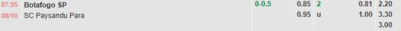 ti-le-keo-tran-botafogo-vs-paysandu